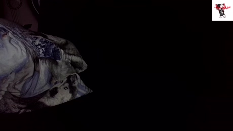 jamismu  11-01-2022 video sexyfeet