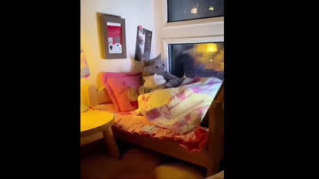 topganhotty  11-01-2022 video big