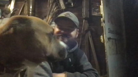 bigdickauslad  13-01-2022 video sweet