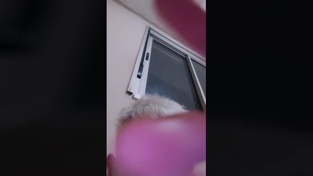 MalandrinhoPica  14-01-2022 Recorded Video fingering