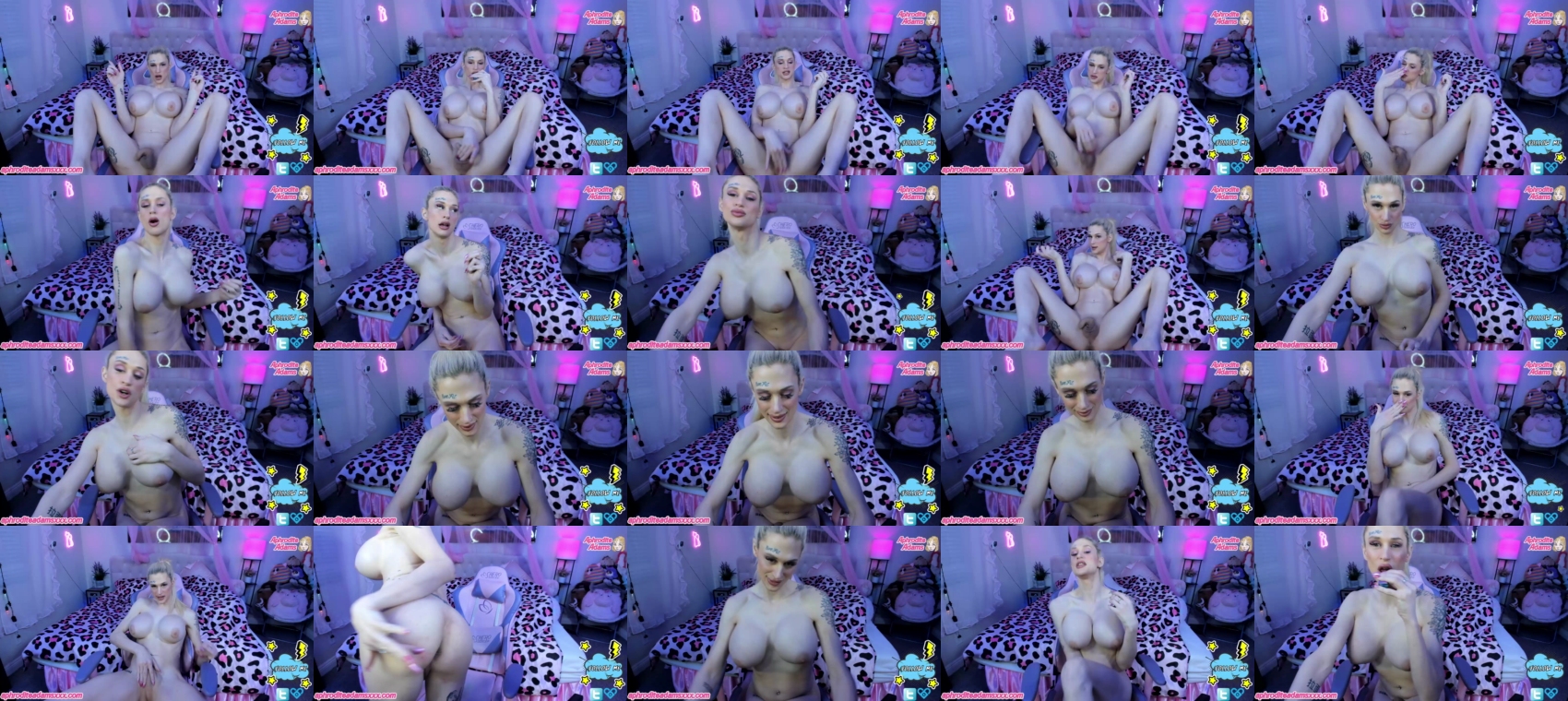 tsaphroditeadams ts 15-01-2022  trans orgasm