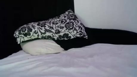 awholesnackpack  16-01-2022 video bigload