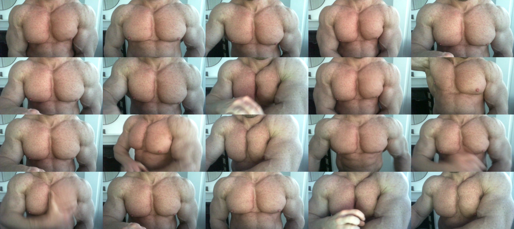 musclebullxx29  17-01-2022 Males Cam