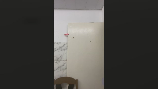 TomzinhoAL  20-01-2022 Recorded Video fuckface