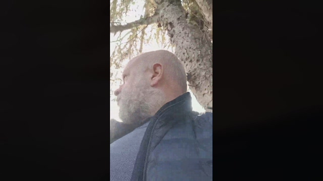 bottompalma  20-01-2022 Recorded Video jackoff