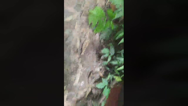 menegues  22-01-2022 Recorded Video sexymale