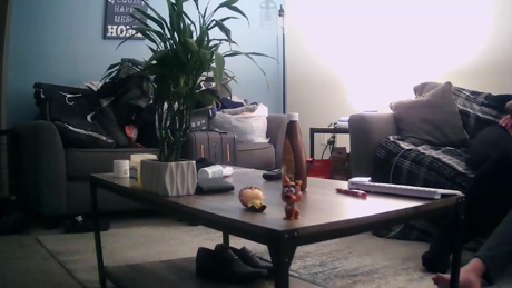 sexcbrwnboi2  24-01-2022 video bigass