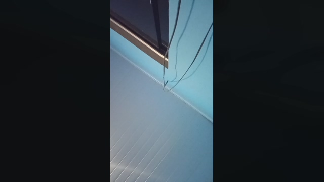 gabrielbacella2