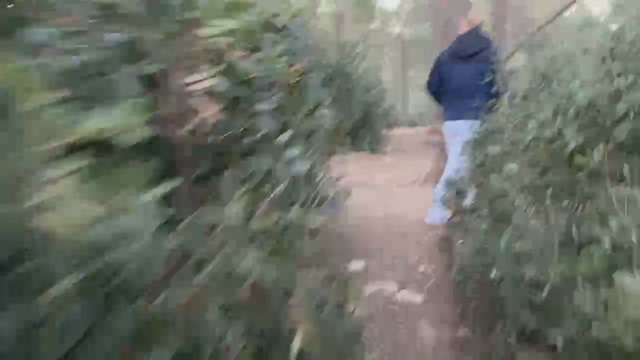raboadicto  25-01-2022 Recorded Video Recorded
