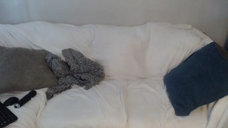 madamlucifer  26-01-2022 fuck Couples