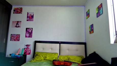 perlman_artsensus_  26-01-2022 video gay