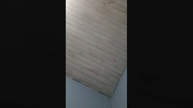 ArthurDogg  28-01-2022 Recorded Video Nude