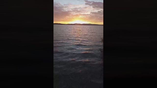 0liver_666  30-01-2022 video sexykitty