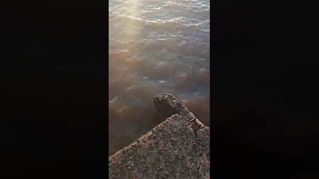 0liver_666  30-01-2022 video gag