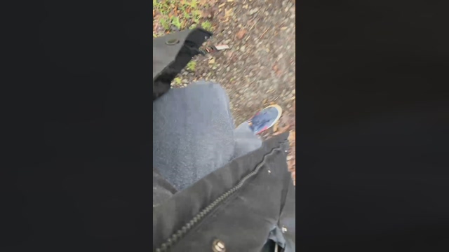 Frredd2  30-01-2022 video big