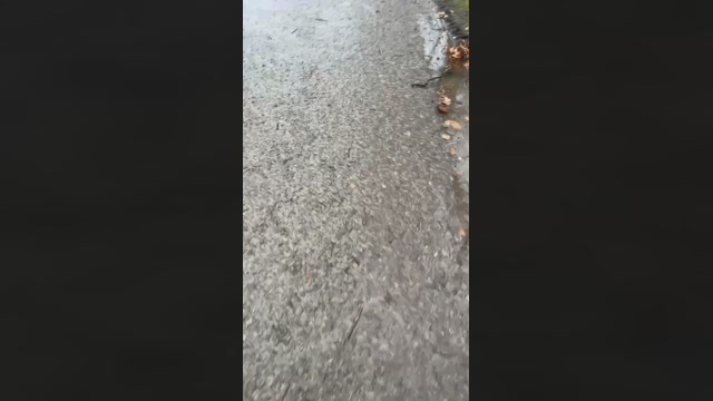 PacinoDeniro  31-01-2022 video kissing