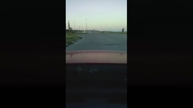 mardelplata