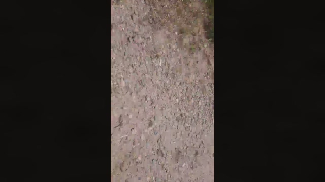 Bichitodeluz20  03-02-2022 video sex