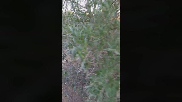 Slavomir78  02-02-2022 Recorded Video harddick