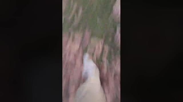 ilmio21  02-02-2022 Recorded Video jerkoff