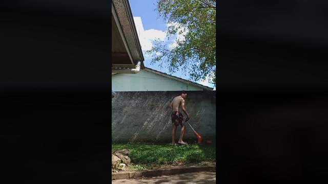 m0zz1n  02-02-2022 video toy