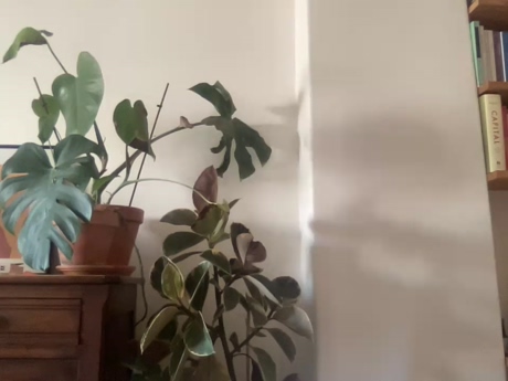 there_  03-02-2022 video Cam