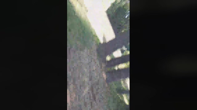 Bichitodeluz20  04-02-2022 video jerkoff