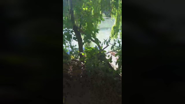 Bichitodeluz20  04-02-2022 video Download