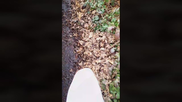 mark3107  04-02-2022 video fingers