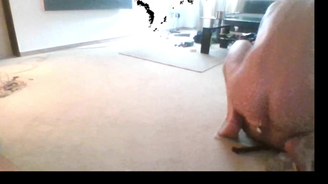 jefff_fun  05-02-2022 video toy