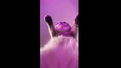 topganhotty  05-02-2022 video beautiful