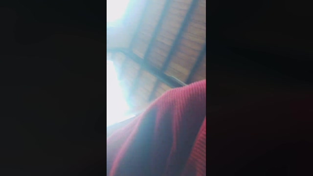 Sebhastian  05-02-2022 video fuckface