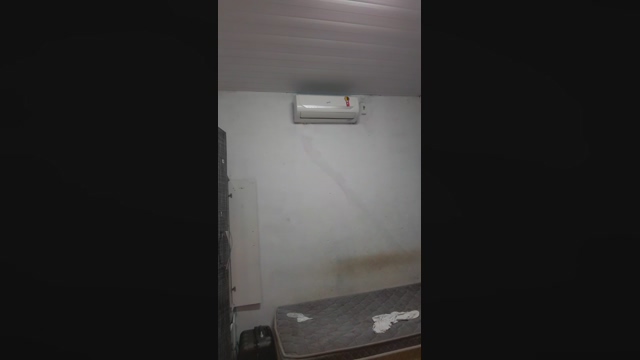 hal4elson  06-02-2022 Recorded Video horny