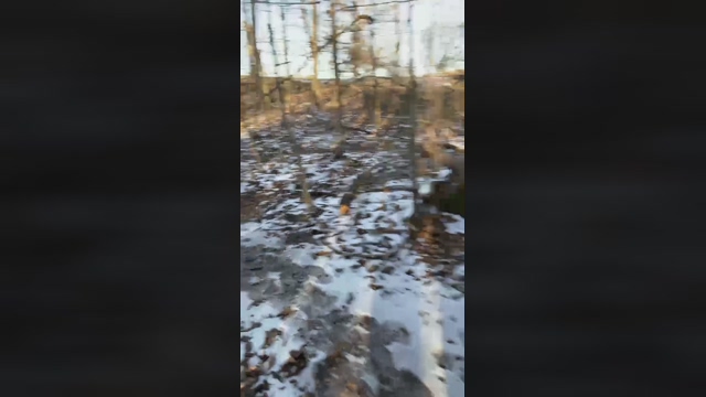 BroM8s  06-02-2022 video sweet