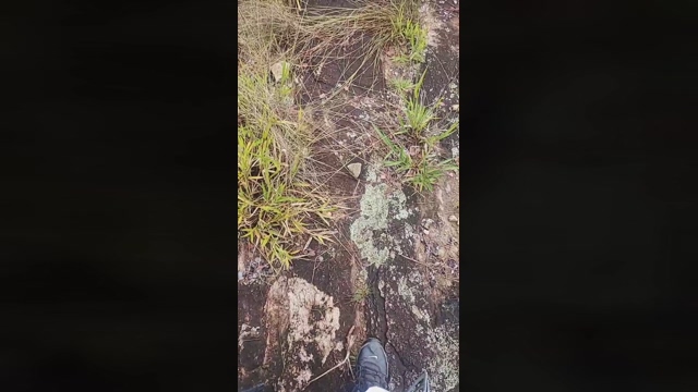 PauzudaoMG  06-02-2022 video bigass