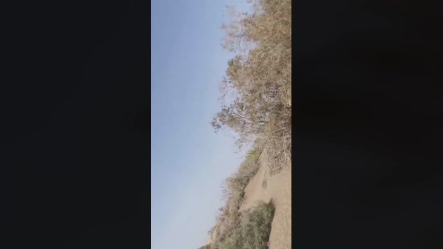 Slavomir78  07-02-2022 video handsome