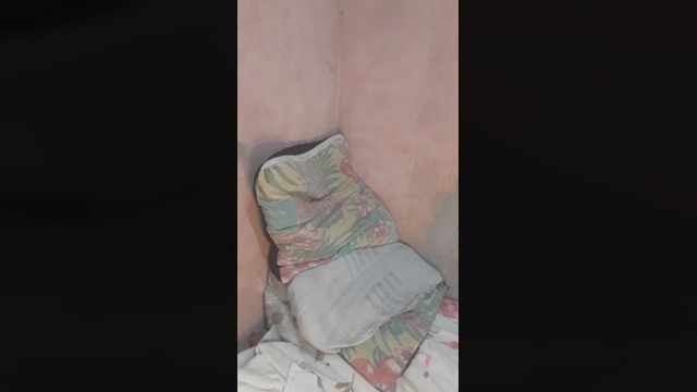hal4elson  07-02-2022 Recorded Video jackoff