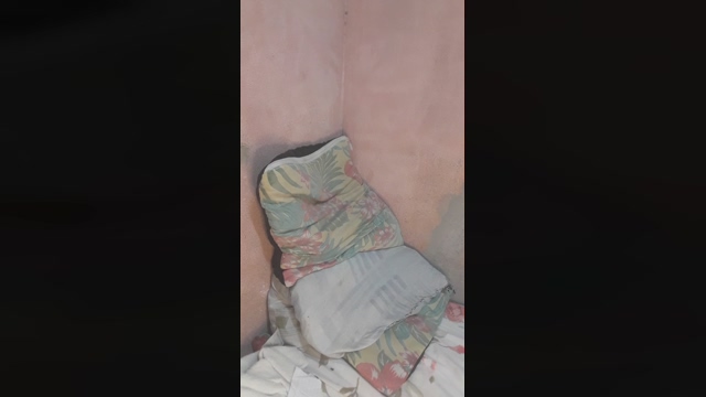 hal4elson  07-02-2022 video love