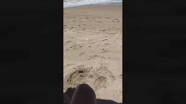 felipec101  08-02-2022 video ass