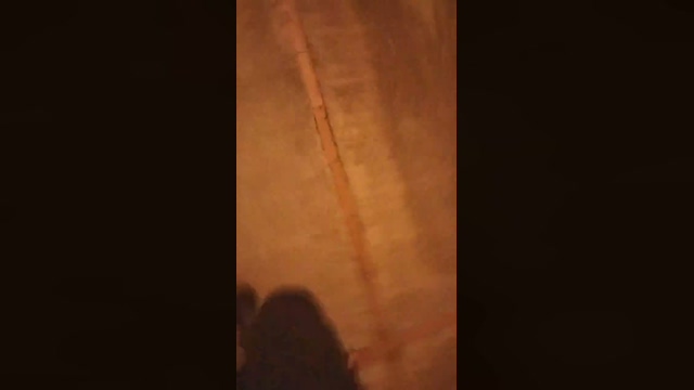 littlefox9  07-02-2022 video fuckass