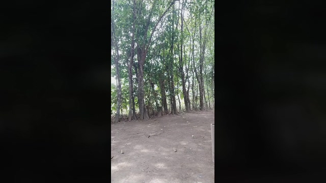 xmonster_blackx  07-02-2022 video prettyface