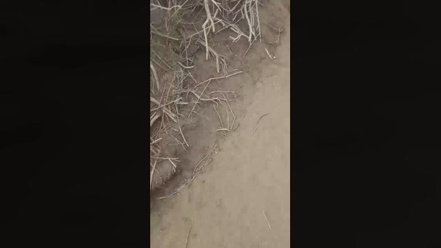 Vicioson1964  08-02-2022 video jackoff