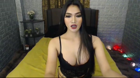 Trans Webcam Live