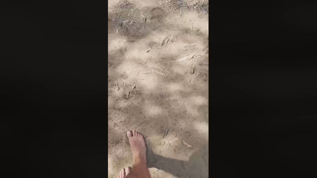 Slavomir78  10-02-2022 video fuckhard