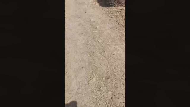 Slavomir78  10-02-2022 Recorded Video lush