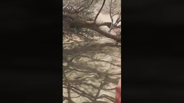 Slavomir78  10-02-2022 Recorded Video Recorded