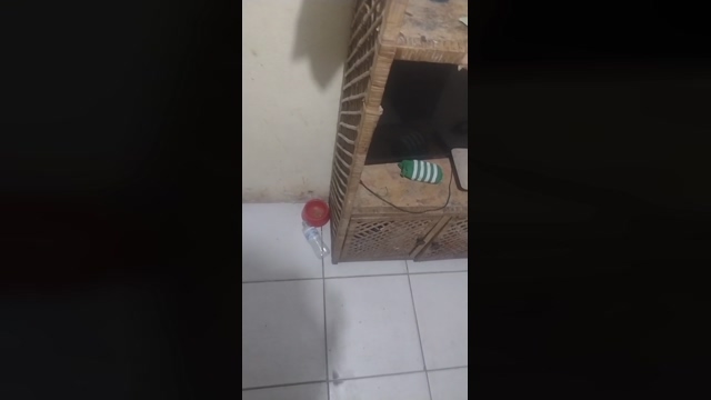 gzin4  10-02-2022 video love