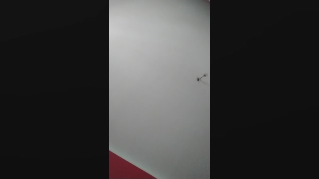 porcaevahot1
