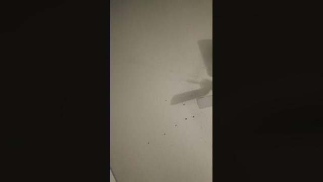 WildKatTatted  11-02-2022 Recorded Video jerking