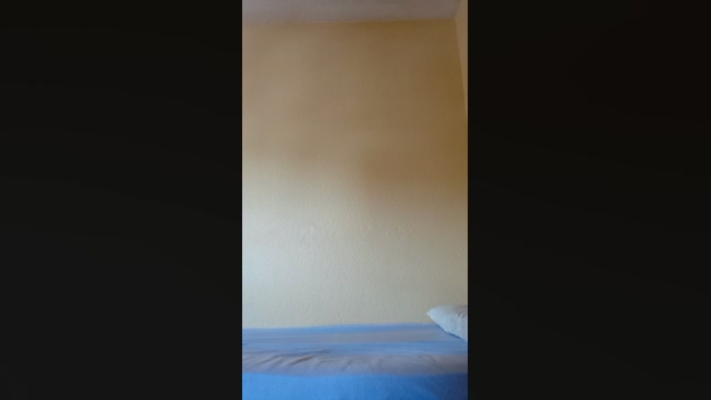 el_torbe_  11-02-2022 Recorded Video jerkoff